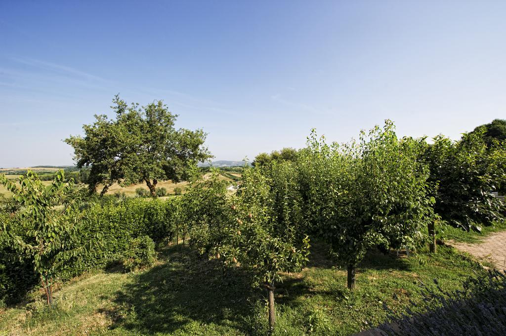 Agriturismo I Roseti Montepulciano Stazione Habitación foto
