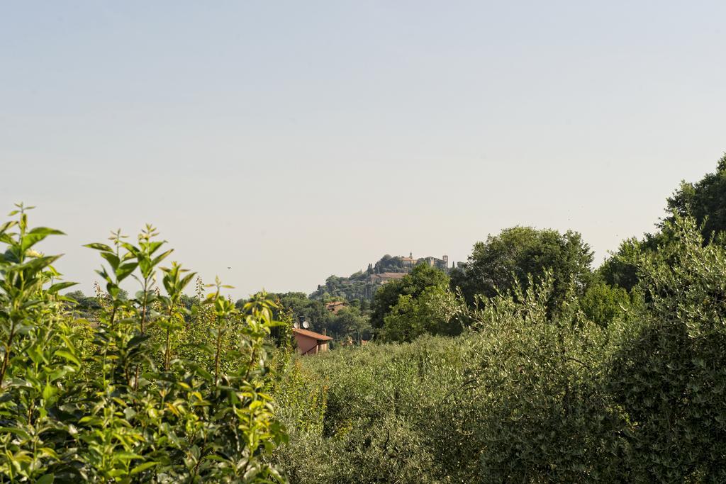 Agriturismo I Roseti Montepulciano Stazione Habitación foto